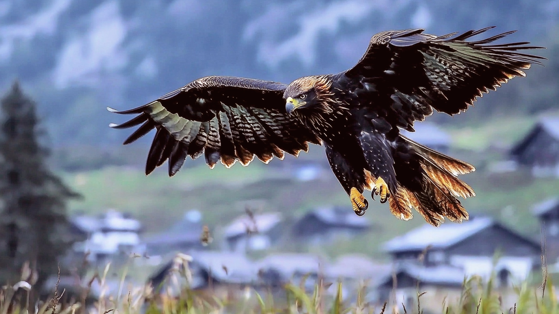 02_02_09_07_AA00000_PC_XAA00001_Carousel_1080x1920