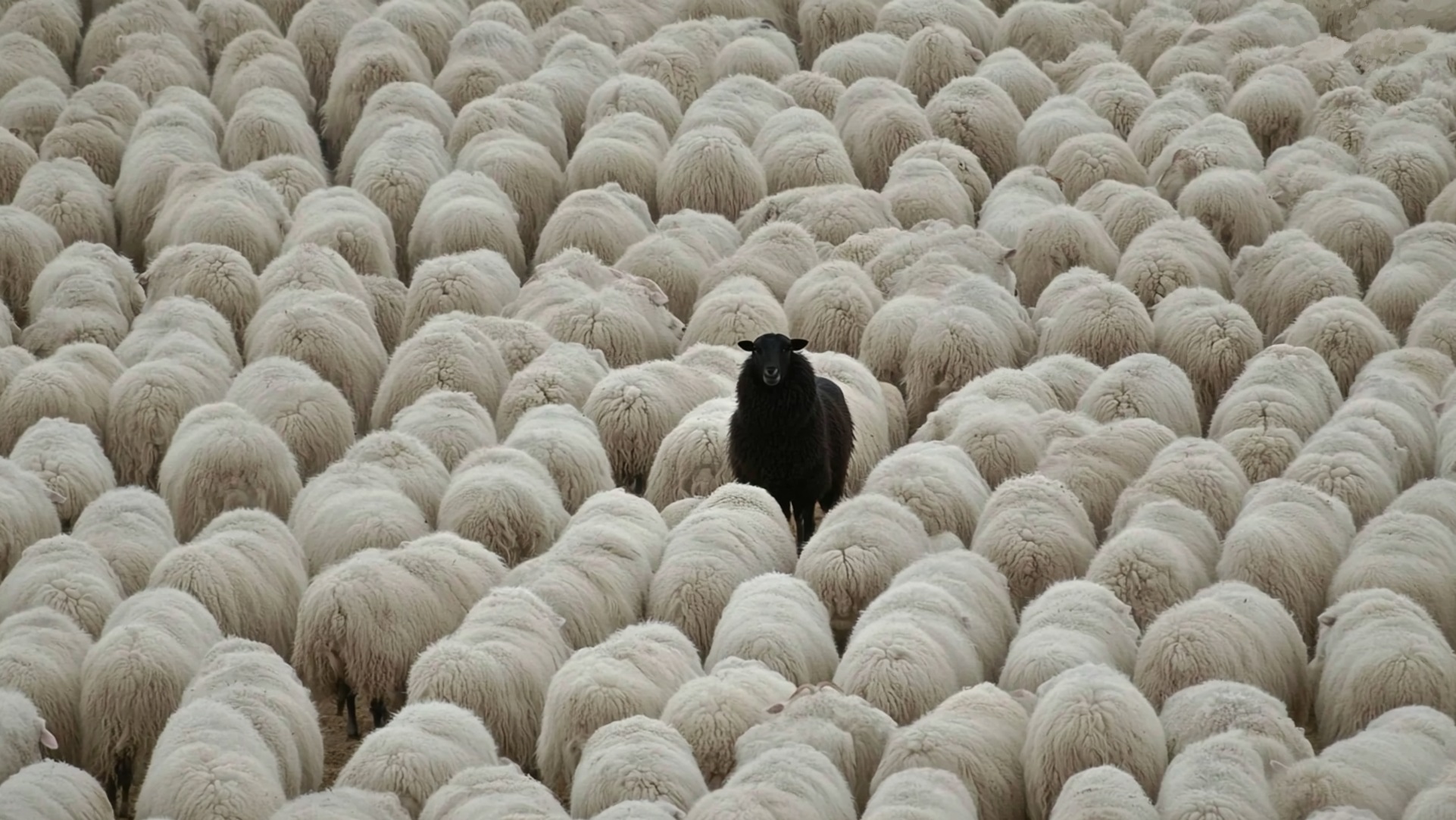 02_02_09_08_AA00000_PC_XAA00001_Carousel_1080x1920