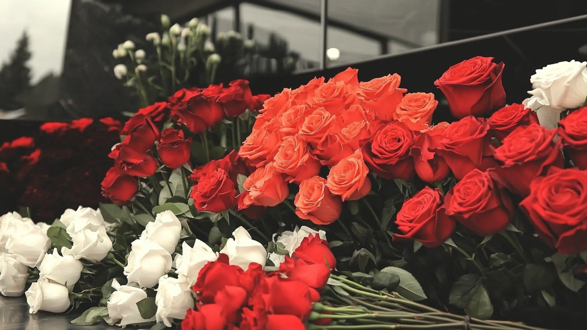 02_02_10_05_AA00000_PC_XAA00001_Carousel_1080x1920